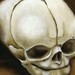 Tattoos - Fetal skull in oil - 41933